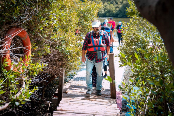 Ajman University Contributes Towards Planting of 10,000 Mangrove Trees on World Environment Day