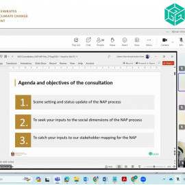 Consultation sessions for the UAE National Climate Adaptation Plan (NAP)-GESI