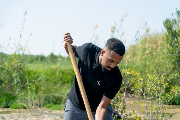Ajman University’s Office of Sustainability Launches “Mangrove Champions” Initiative