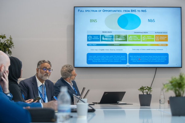 Unlocking Climate Blended Finance in the MENA Region: Insights from COP28