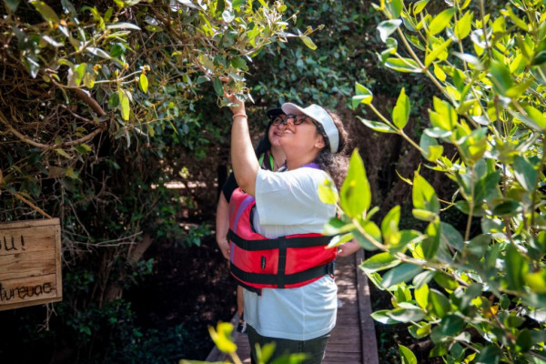 Ajman University Contributes Towards Planting of 10,000 Mangrove Trees on World Environment Day