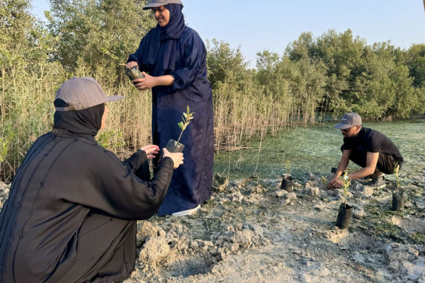 The Office of Sustainability Participates in the International Day for the Conservation of the Mangrove Ecosystem