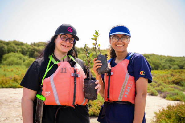 Ajman University Contributes Towards Planting of 10,000 Mangrove Trees on World Environment Day