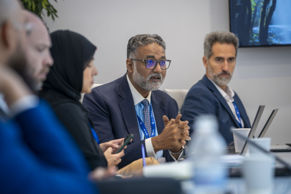 Unlocking Climate Blended Finance in the MENA Region: Insights from COP28