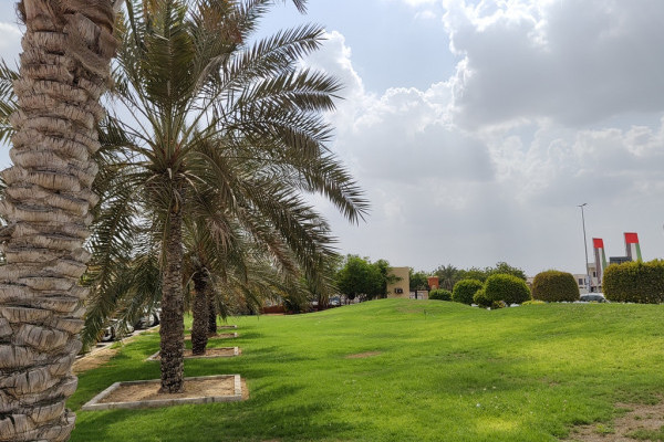 Ajman University (AU) has launched the AU Plant Nursery