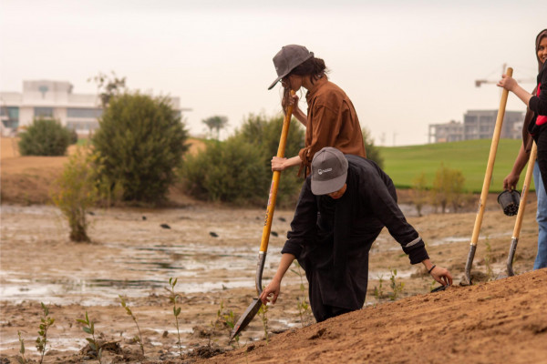 Ajman University and Al Zorah Golf Club, affiliated with Al Zorah Development Private Company, Launch Mangrove Planting and Golf Tour Initiative