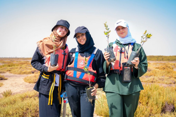 Ajman University Contributes Towards Planting of 10,000 Mangrove Trees on World Environment Day