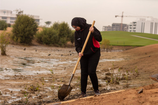 Ajman University and Al Zorah Golf Club, affiliated with Al Zorah Development Private Company, Launch Mangrove Planting and Golf Tour Initiative