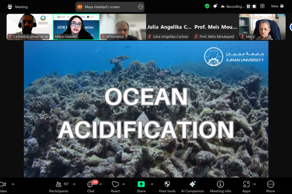 Introduction to Carbon Literacy: UCN Decarbonization Academy Equips Participants with Essential Climate Knowledge