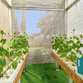 Hydroponic Sustainable Net House Model