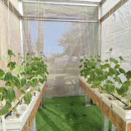 Solar Hydroponic Net House