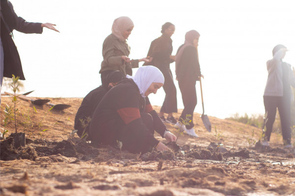 Ajman University and Al Zorah Golf Club, affiliated with Al Zorah Development Private Company, Launch Mangrove Planting and Golf Tour Initiative