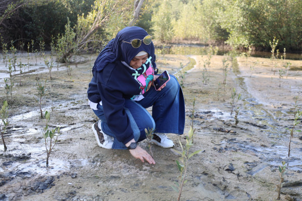 Ajman University and Al Zorah Golf Club, affiliated with Al Zorah Development Private Company, Launch Mangrove Planting and Golf Tour Initiative