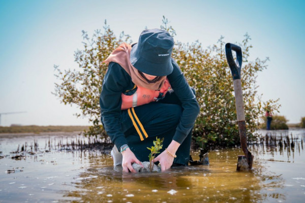 Ajman University Contributes Towards Planting of 10,000 Mangrove Trees on World Environment Day