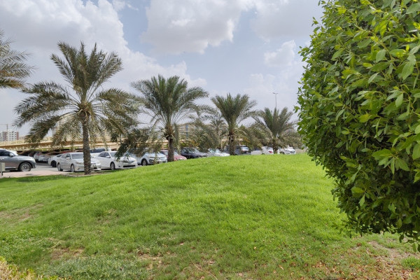 Ajman University (AU) has launched the AU Plant Nursery