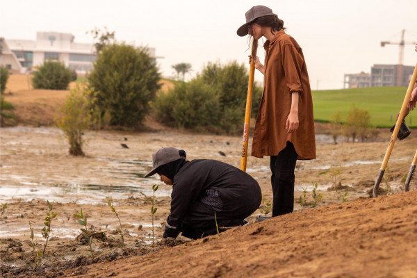 Ajman University and Al Zorah Golf Club, affiliated with Al Zorah Development Private Company, Launch Mangrove Planting and Golf Tour Initiative