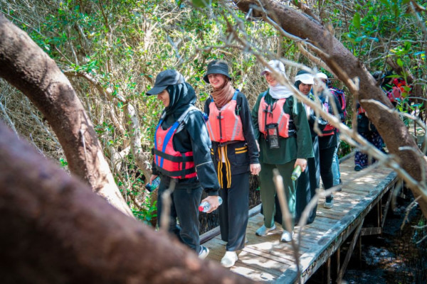 Ajman University Contributes Towards Planting of 10,000 Mangrove Trees on World Environment Day