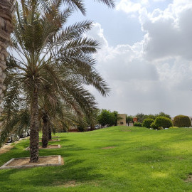 Ajman University Plant Nursery