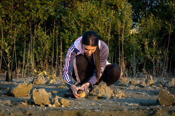 The Office of Sustainability at Ajman University Organizes a Mangrove Planting and Clean-Up Initiative at Al Zorah Golf Club