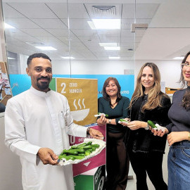 Organic cucumbers distribution campaign