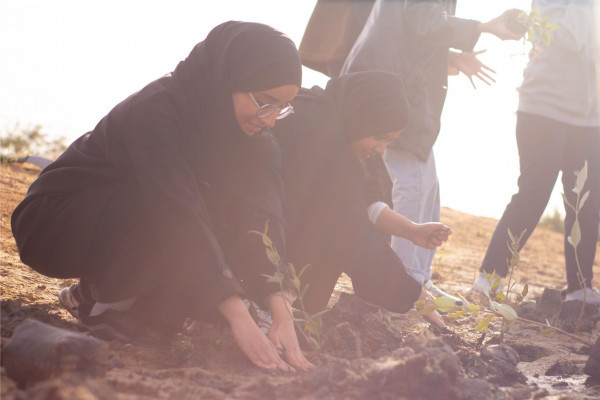 Ajman University and Al Zorah Golf Club, affiliated with Al Zorah Development Private Company, Launch Mangrove Planting and Golf Tour Initiative