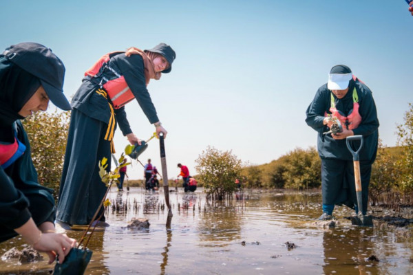 Ajman University Contributes Towards Planting of 10,000 Mangrove Trees on World Environment Day