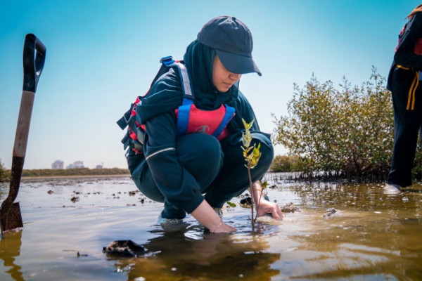 Ajman University Contributes Towards Planting of 10,000 Mangrove Trees on World Environment Day