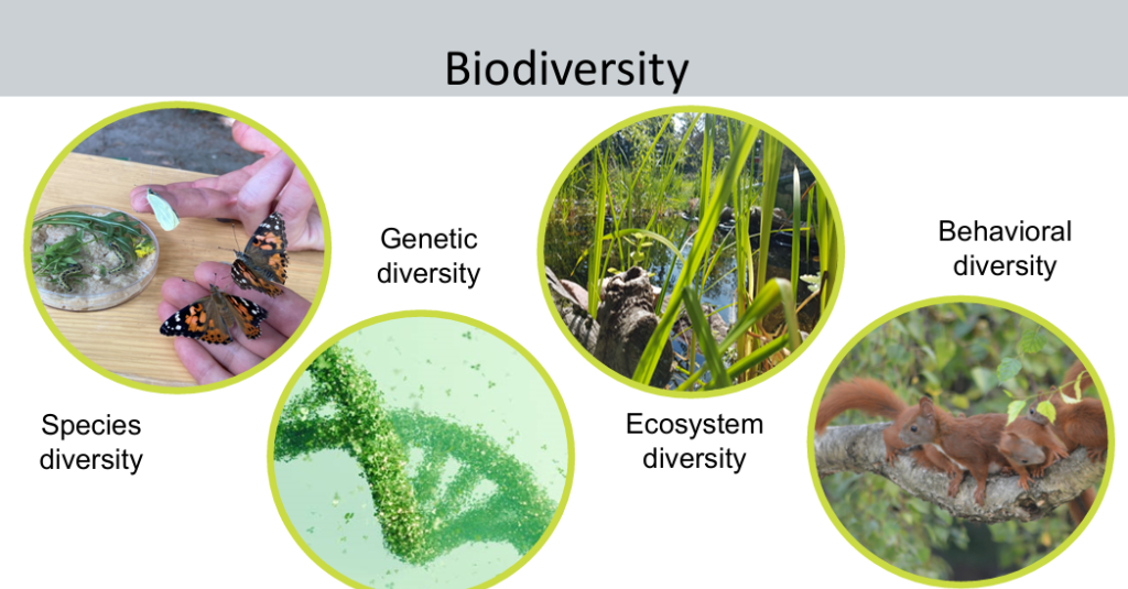 Ajman University Joins Global Biodiversity Community of Practice to Advance Conservation and Restoration
