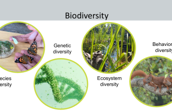 Ajman University Joins Global Biodiversity Community of Practice to Advance Conservation and Restoration